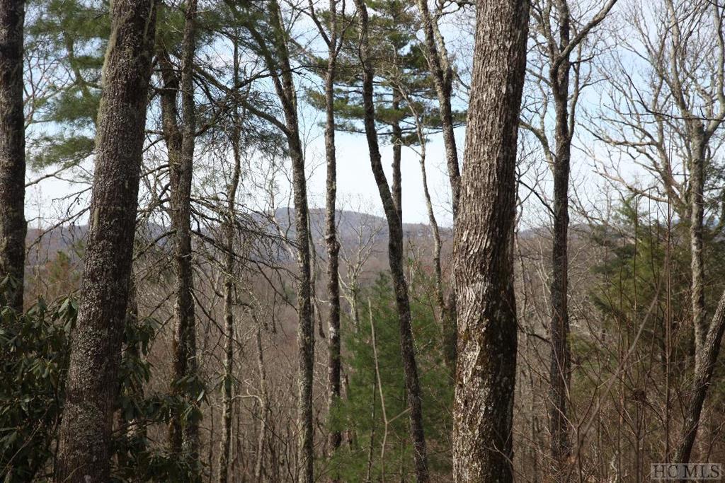 TBD Cowee Ridge Road - Photo 1
