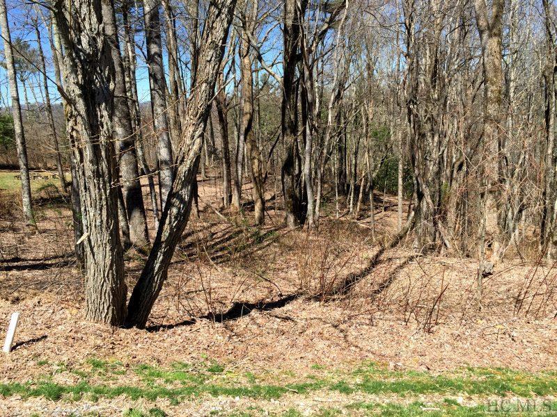 Lot 223 Dry Stack Way - Photo 1