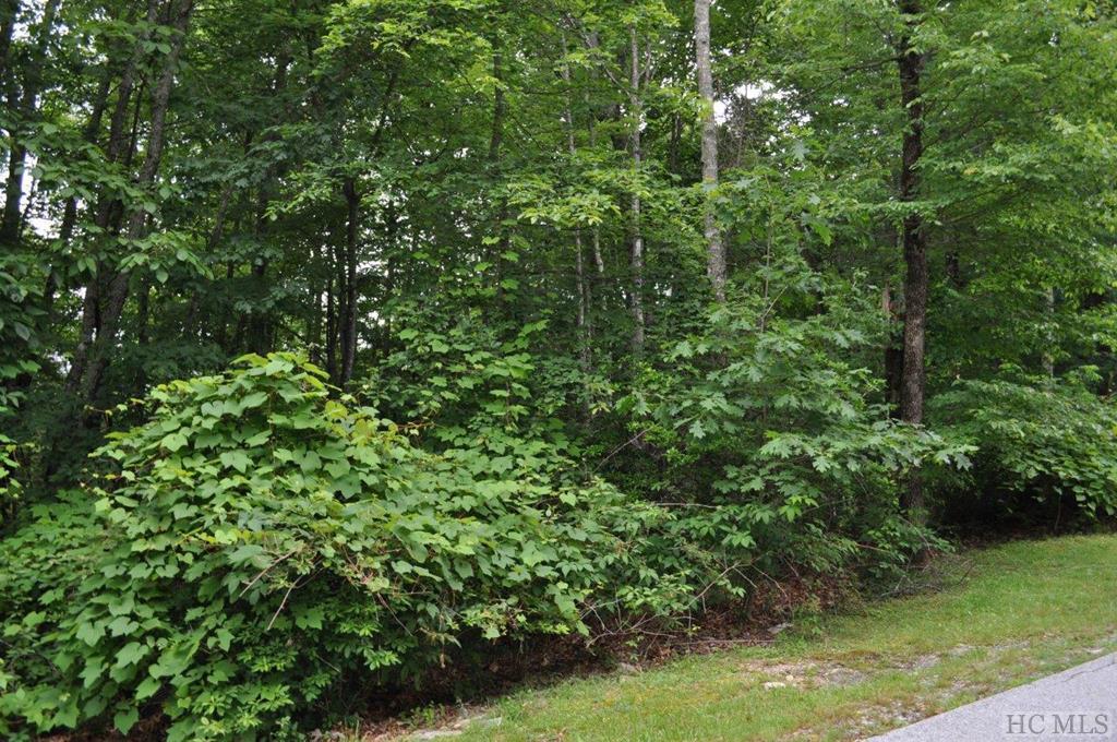 Lot 14 Last Chance Road - Photo 1