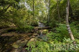 Lot 25 Lonesome Valley Rd - Photo 1