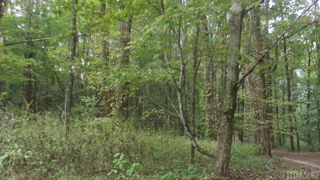 n/a Raven Ridge Road - Photo 1
