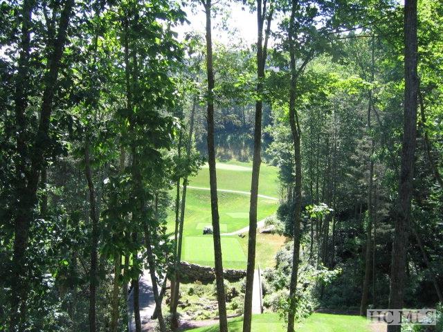 229 Highlands Cove Drive - Photo 1