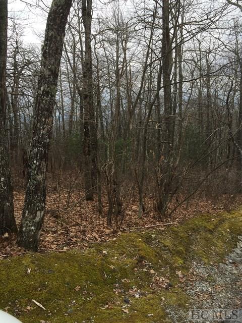 Lot 12 Mica Court - Photo 1