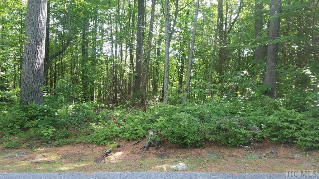 Lot 24 Cliff Ridge Court - Photo 1