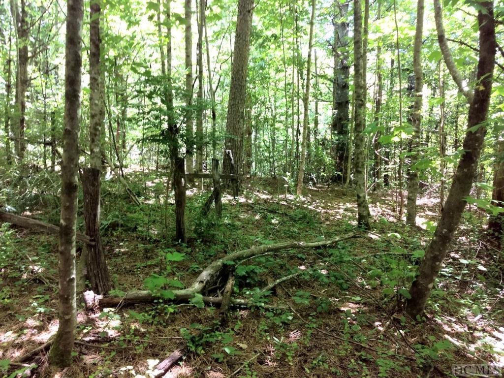 18808 Rosman Hwy - Photo 1