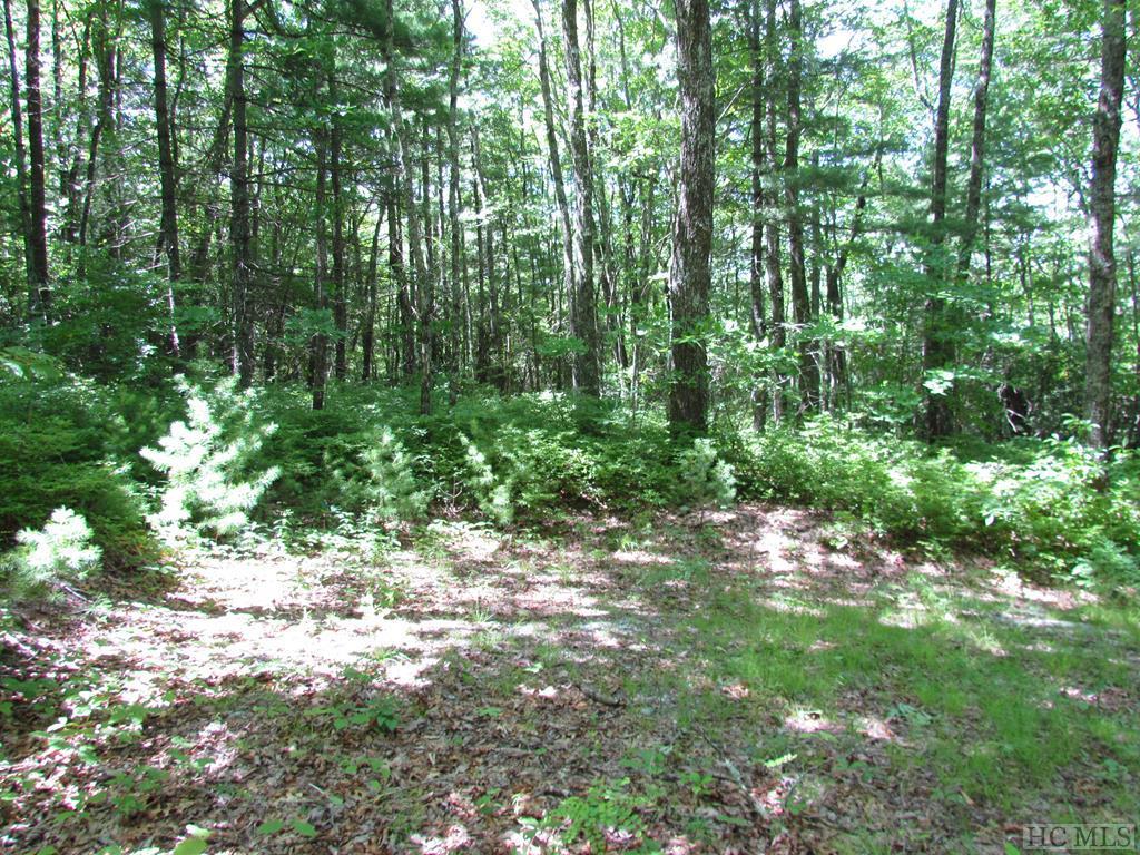 000 Upper Whitewater Road - Photo 1