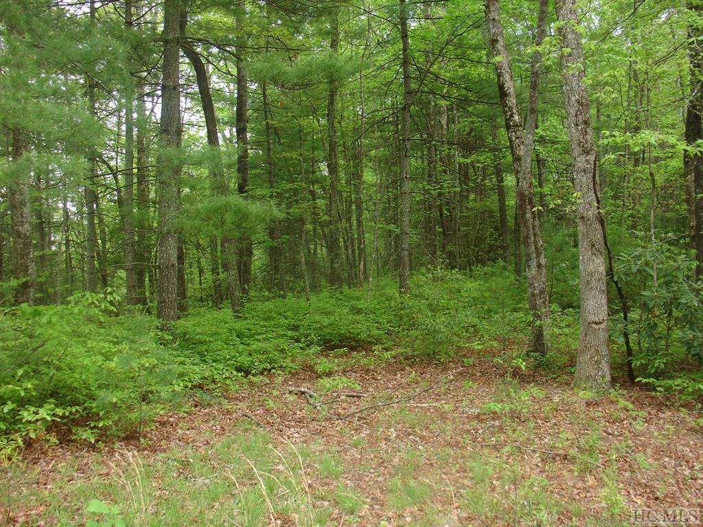 000 Upper Whitewater Road - Photo 1