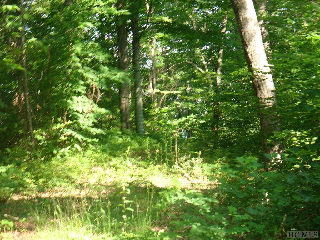 000 Upper Whitewater Road - Photo 1