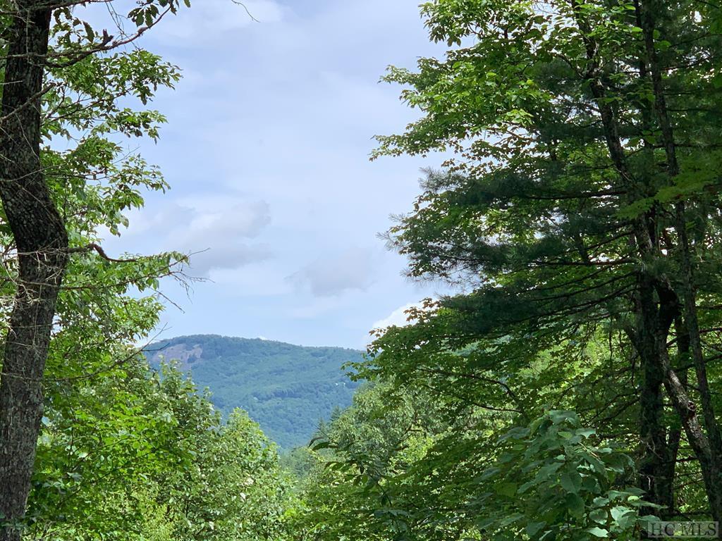 Lot 49, Rocky Top Drive - Photo 1