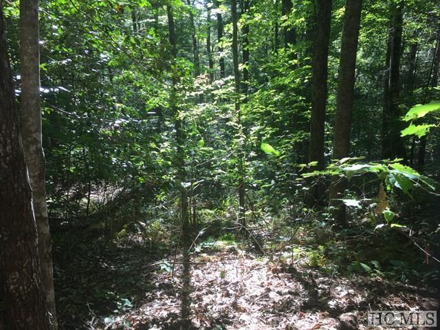 Lot 126 Whisper Lake Drive - Photo 1