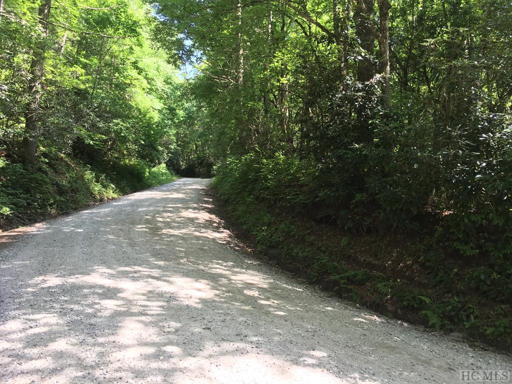 TBD Turtle Pond Road - Photo 1