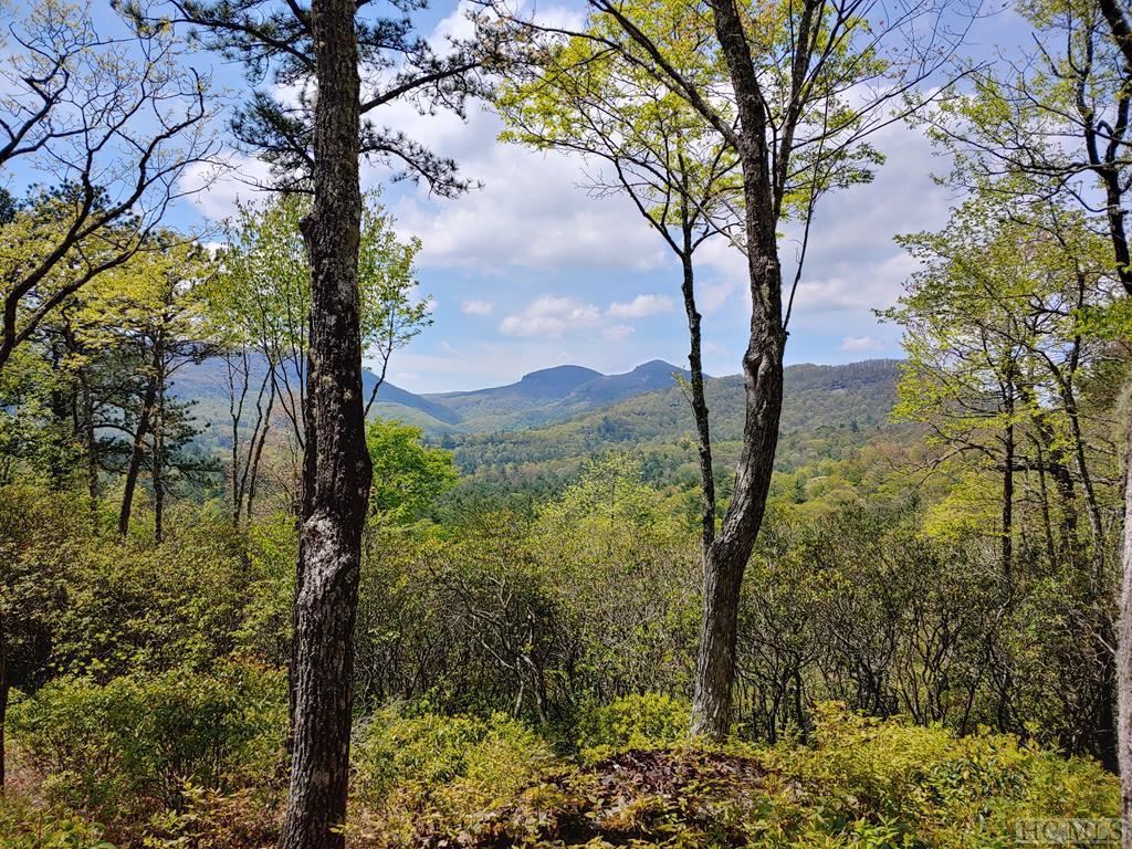 0 Hawk Mountain Road - Photo 1