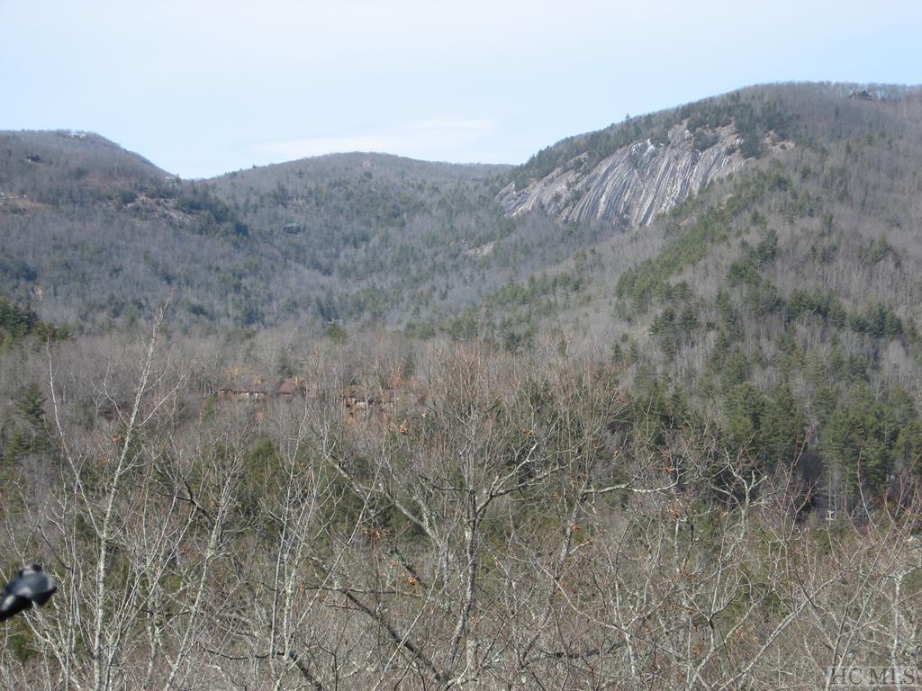 TBD Deer Run Road - Photo 1
