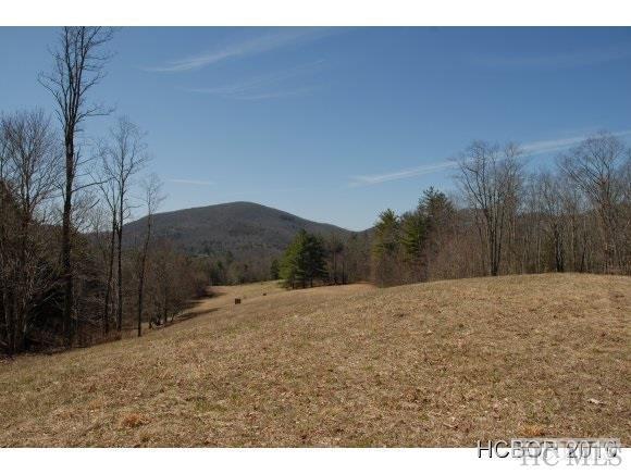 0 Yellow Mountain Road - Photo 1