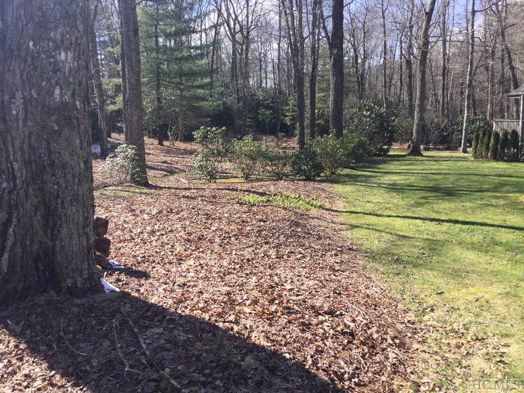 L2 Whiteside Mountain Road - Photo 1