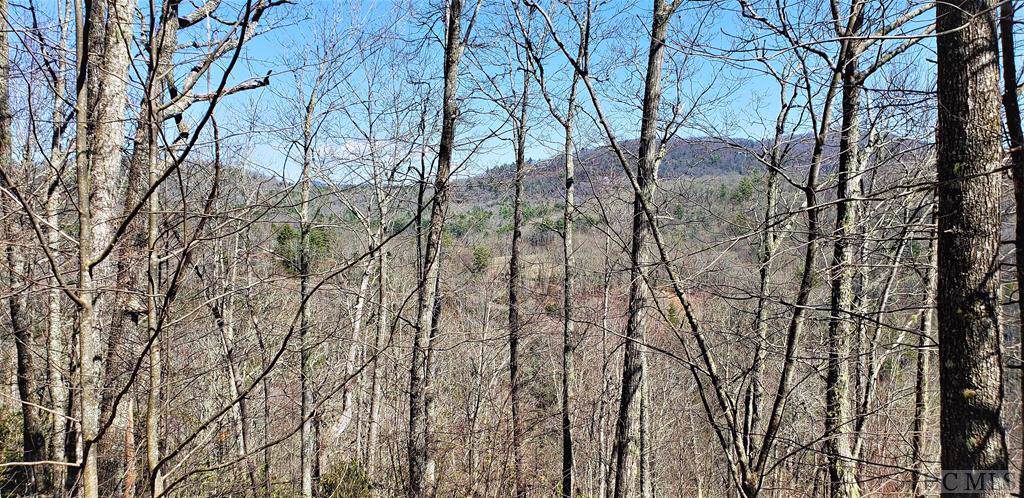 Lot 272 Audubon Trail - Photo 1
