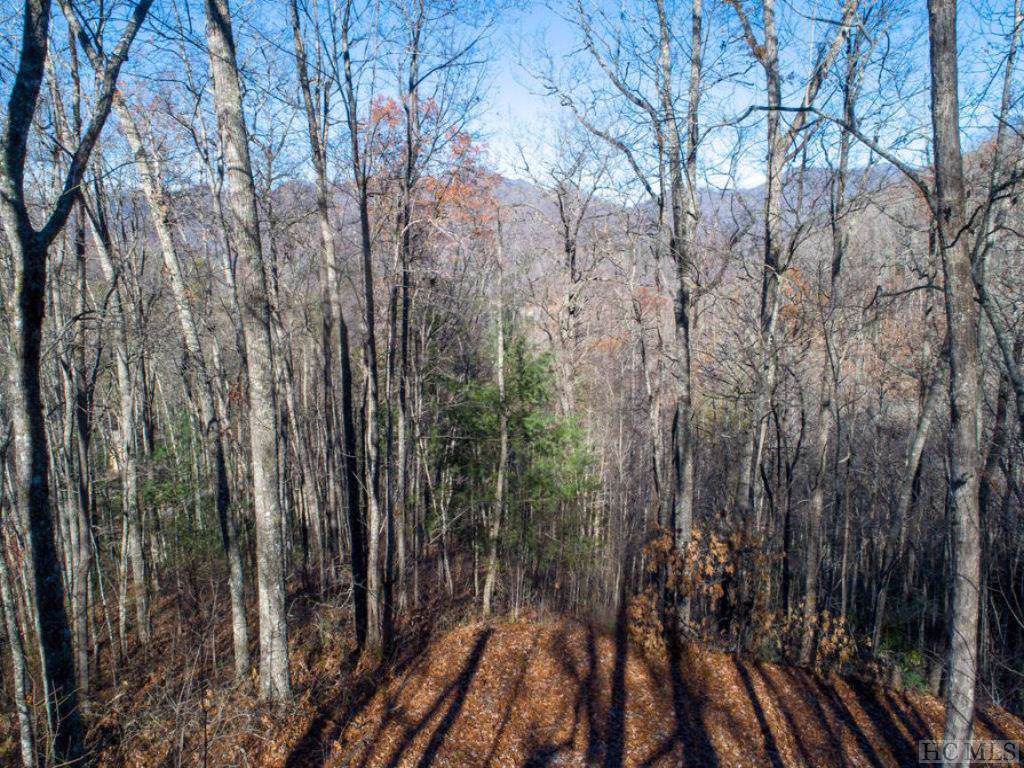 Lot #89 Woodbridge Drive - Photo 1