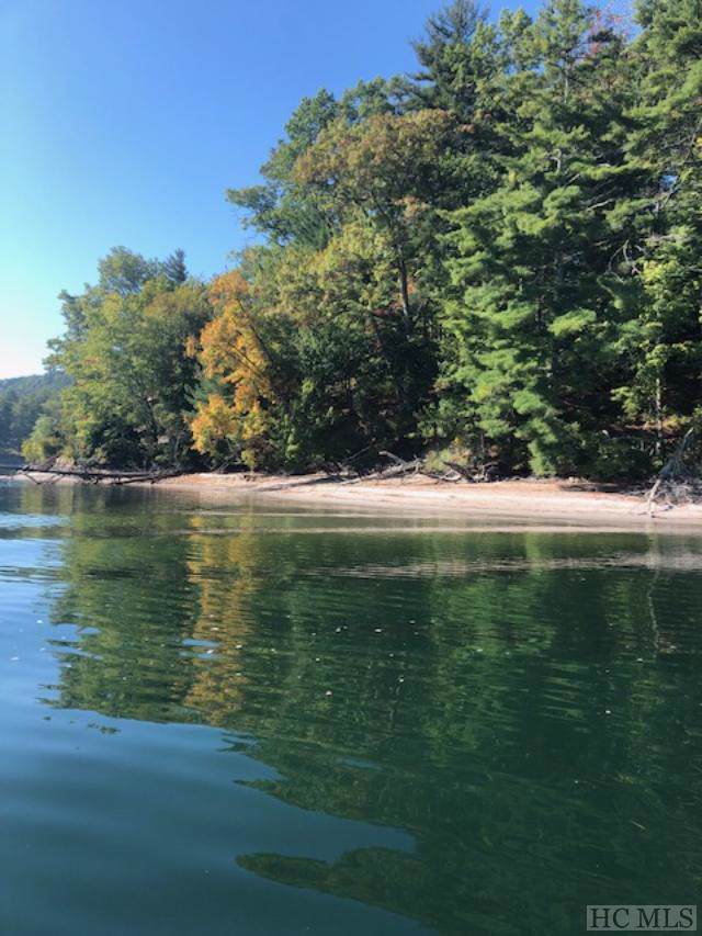 9 Buck Knob Island - Photo 1