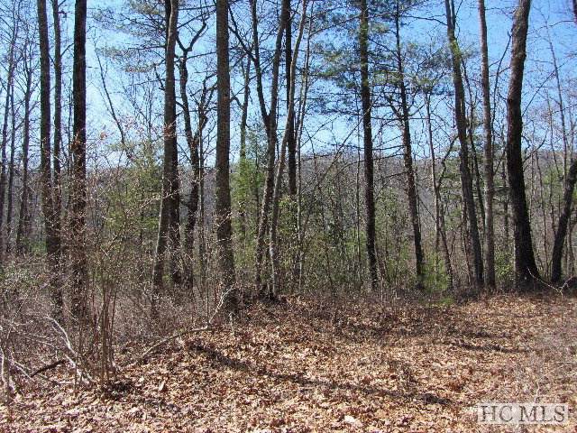 Lot 79 Sarsaparilla Court - Photo 1