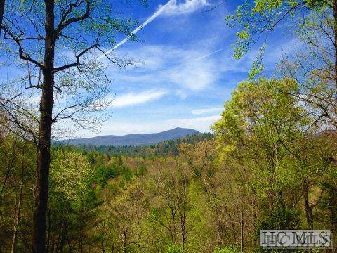 TBD Clear Creek Road - Photo 1