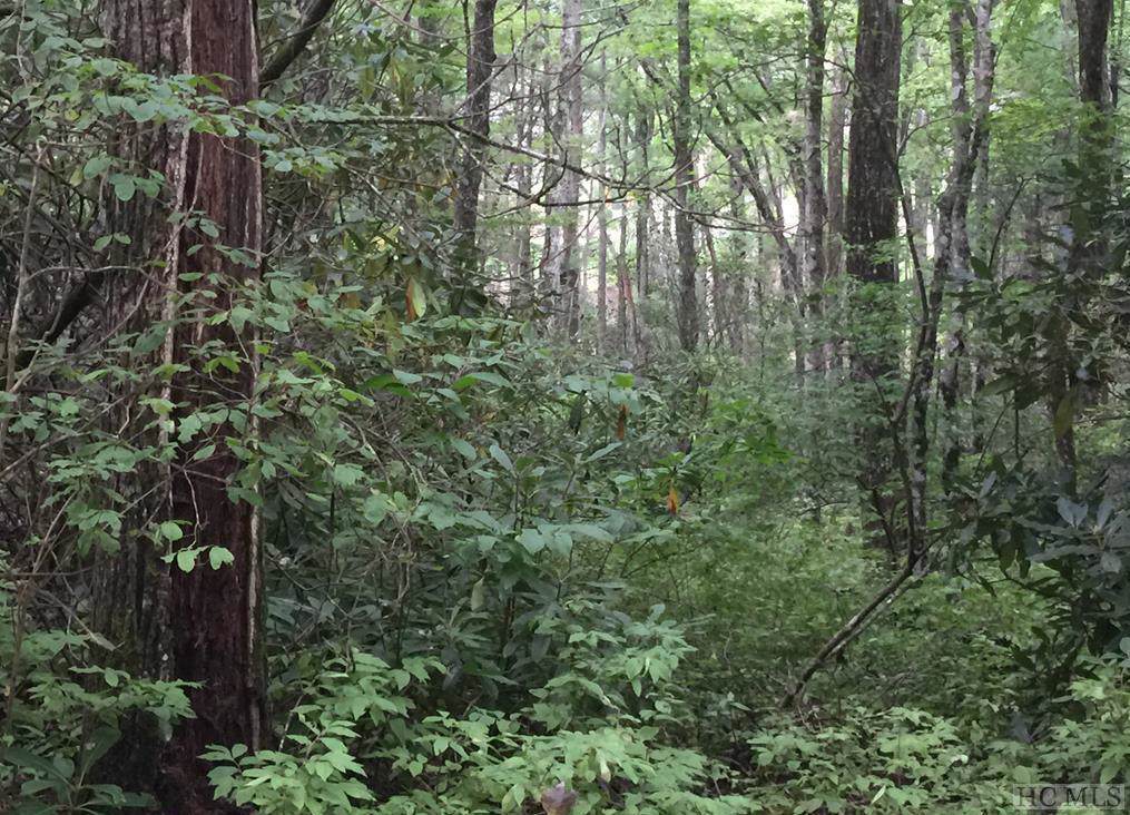 Lot 93 Overlook Drive - Photo 1