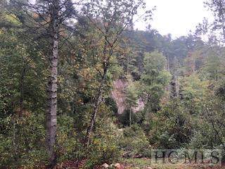 Lot F2 Gorge Trail Road - Photo 1