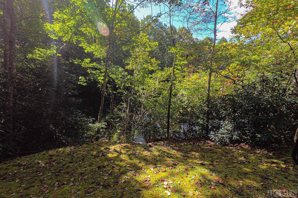 Lot 55 Pond View Lane - Photo 1