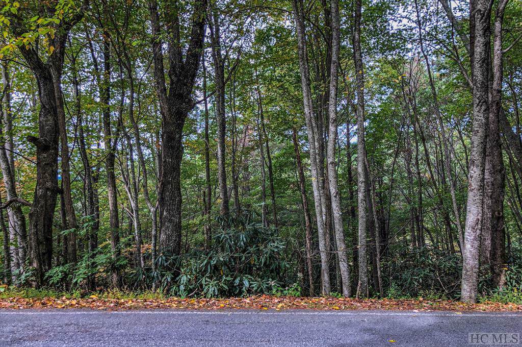 Lot 1 Ridgepole Drive - Photo 1