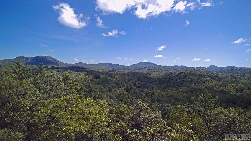 TBD Flat Mountain Road - Photo 1