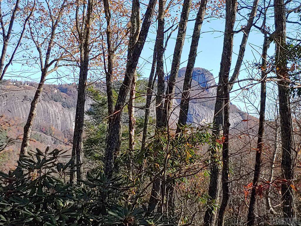 Lot 5 Hardscrabble Ridge Road - Photo 1