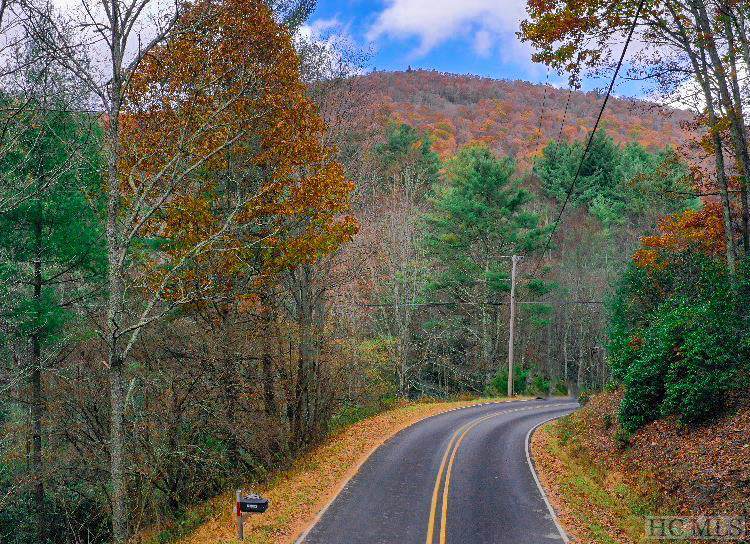 TBD Mill Creek Road - Photo 1