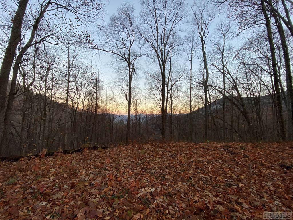 TBD 00/Tbd Woods Rd - Photo 1