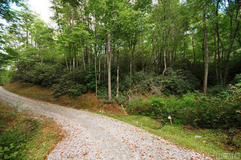 Lot 85 Fishing Village Lane - Photo 1