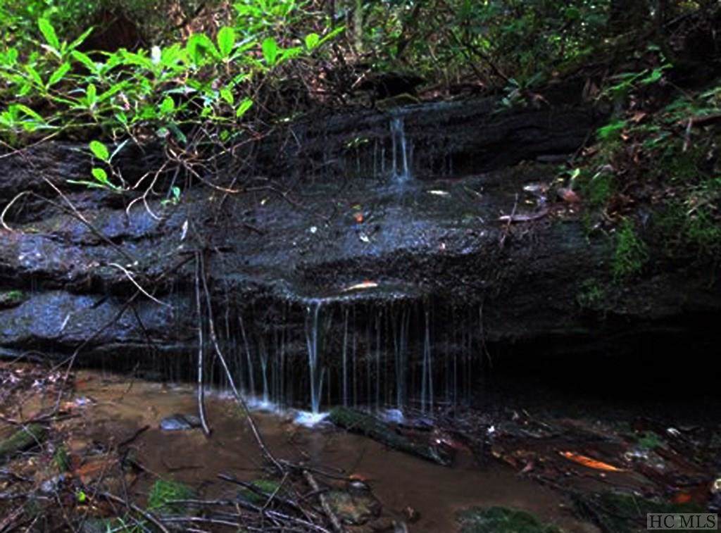 Lot 10 Indian Lake Road - Photo 1