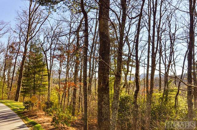 E-80 High Mountain Drive - Photo 1
