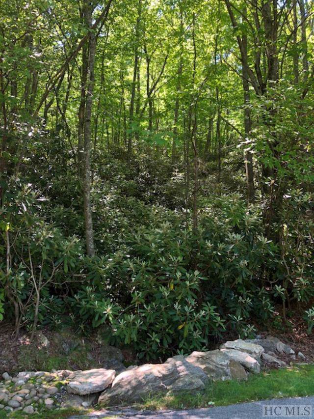 TBA Magnolia Drive - Photo 1