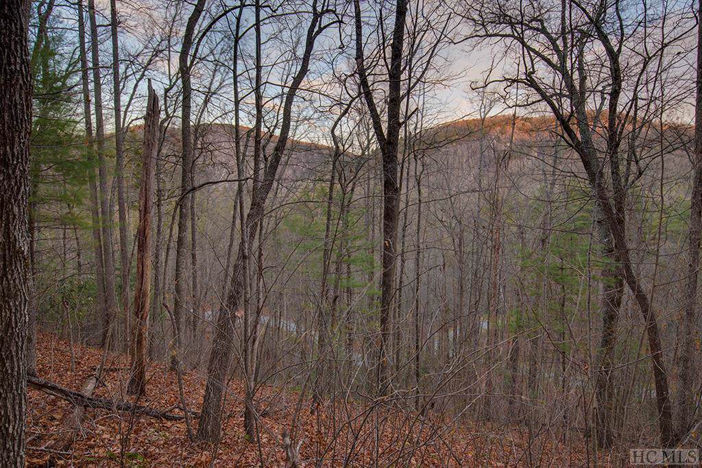 Lot 101 Lonesome Valley Rd - Photo 1