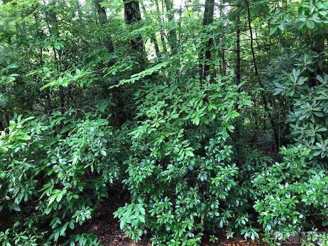 Lot #19 Sourwood Court - Photo 1