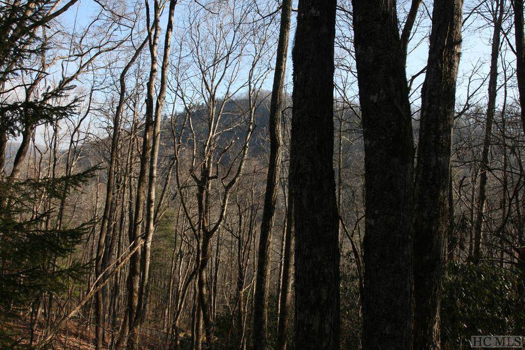 TR2 Sassafras Ridge - Photo 1