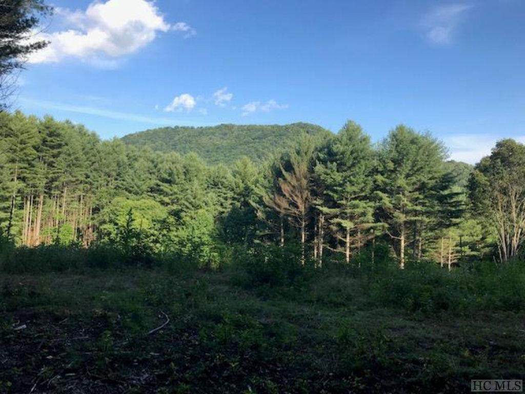 0 Fork Mountain Road - Photo 1