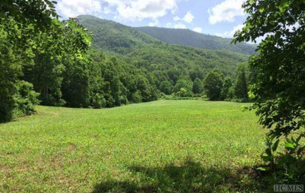 0 Yellow Creek Road - Photo 1
