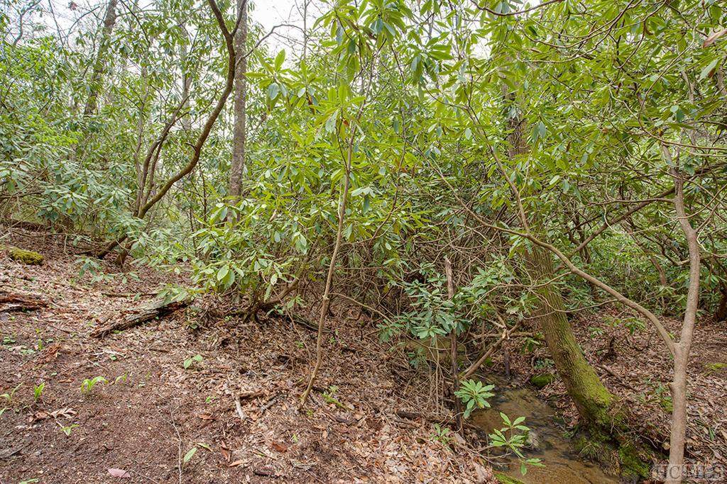Lot 122 Lonesome Valley Rd - Photo 1