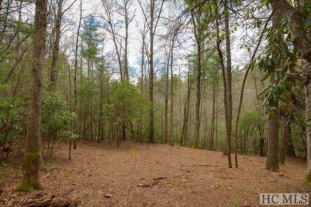 Lot 124 Lonesome Valley Rd - Photo 1