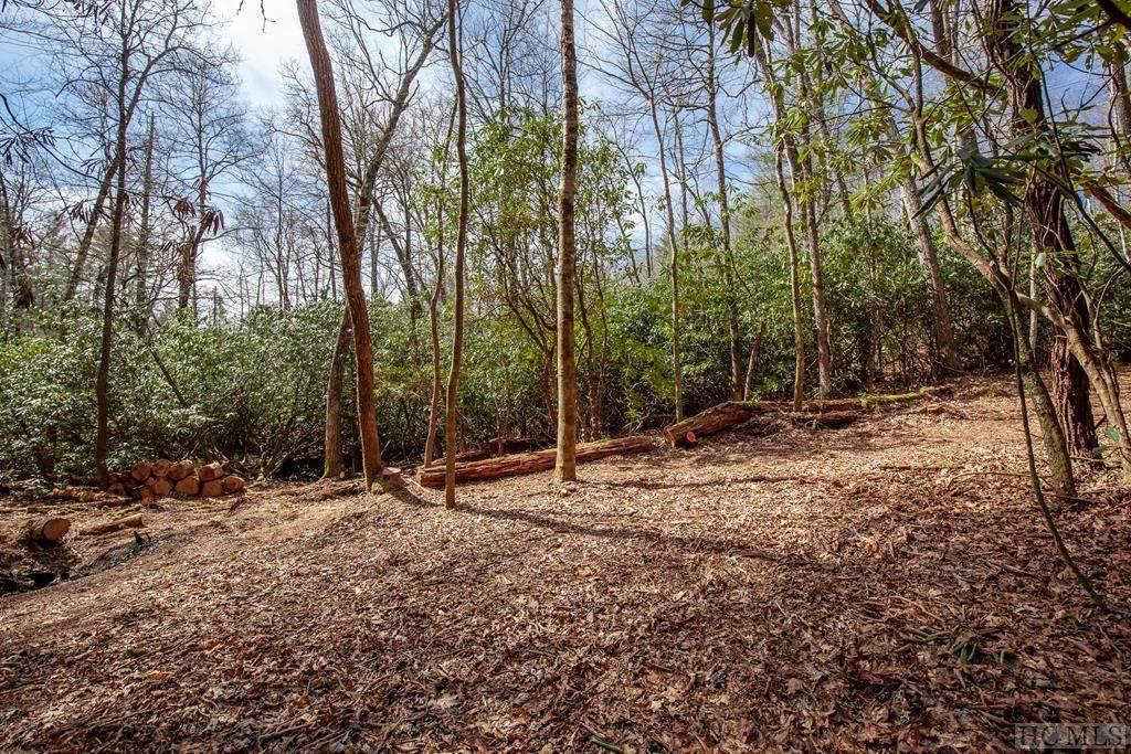 Lot 139 Lonesome Valley Rd - Photo 1