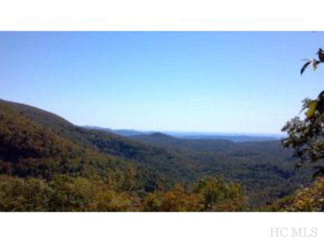 Lot 7 Dobson Mountain Road - Photo 1