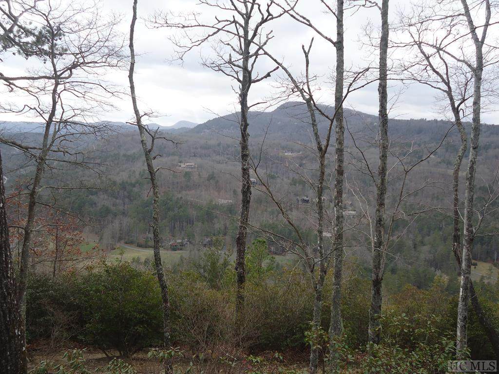 Lot 13 Windemere Way - Photo 1