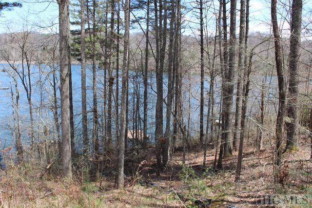 Lot A-2 South Woods Mountain Trail - Photo 1