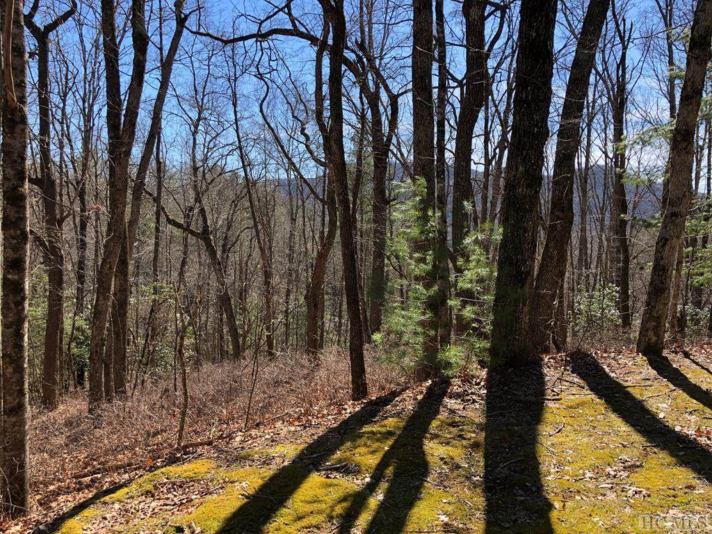 0 East Sugarbush Drive - Photo 1