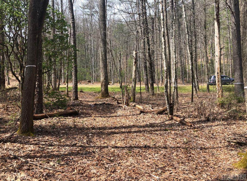 Lot 56 Lonesome Valley Road - Photo 1