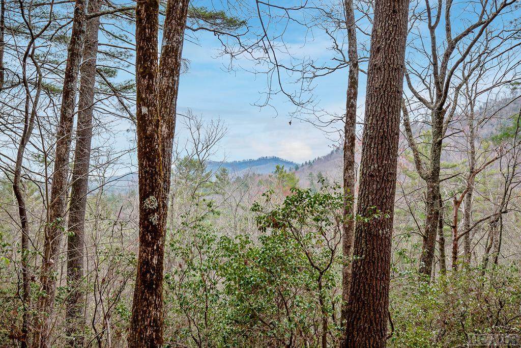 Lot 68 Lonesome Valley Rd - Photo 1